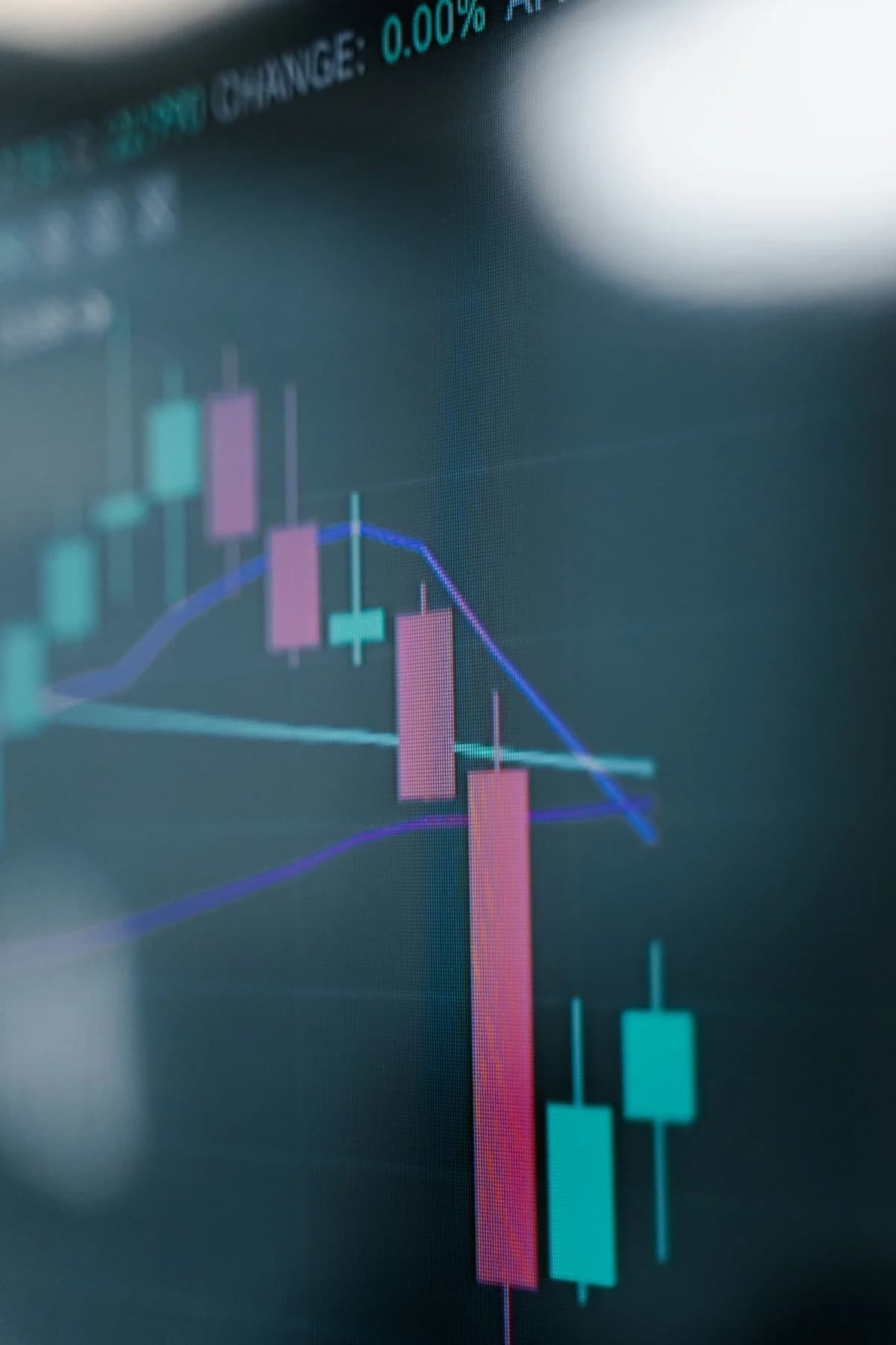 Your Index Fund Is Not as Diversified as You Think