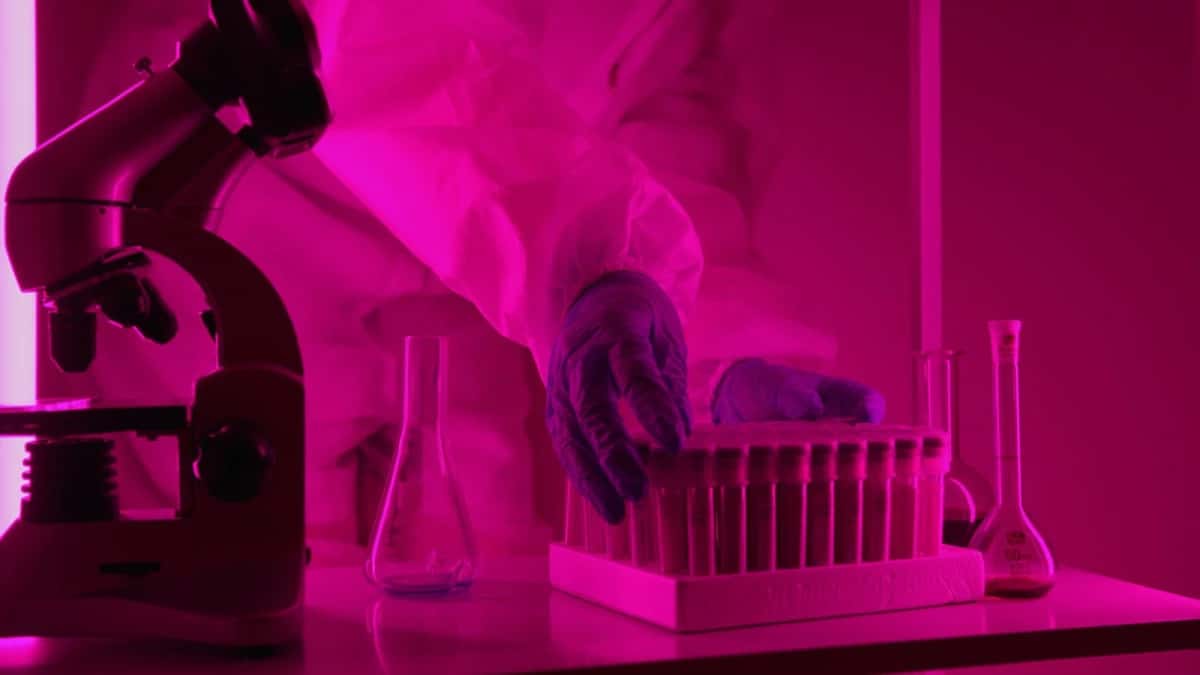 AI Drug Discovery: What It Has Actually Found