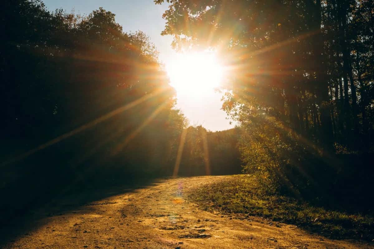 Daylight and Dementia Risk: How Much Light You Need