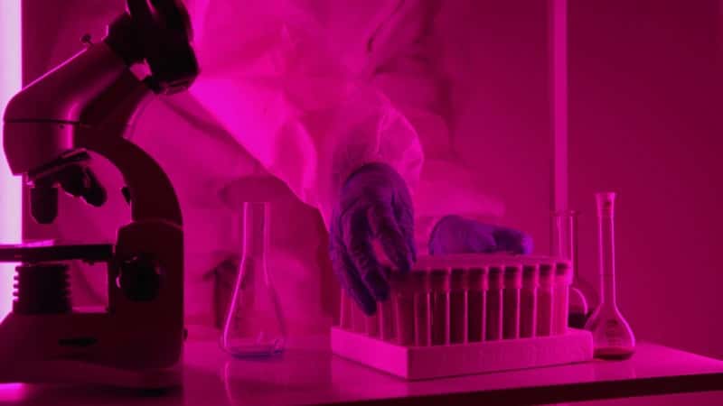 AI Drug Discovery: What It Has Actually Found