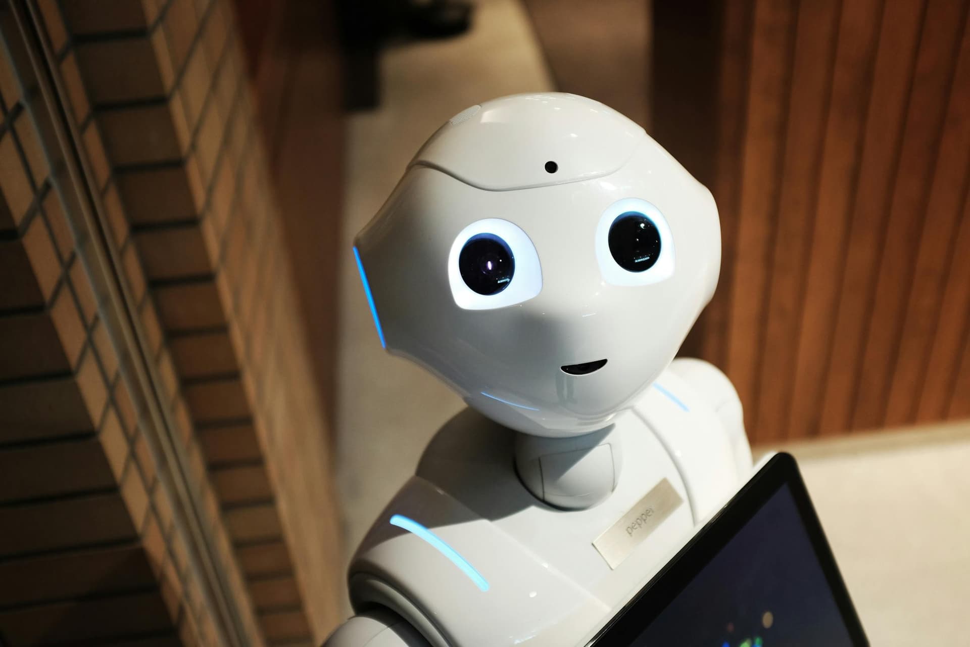 Humanoid Robots Are Finally Here: What You Need to Know